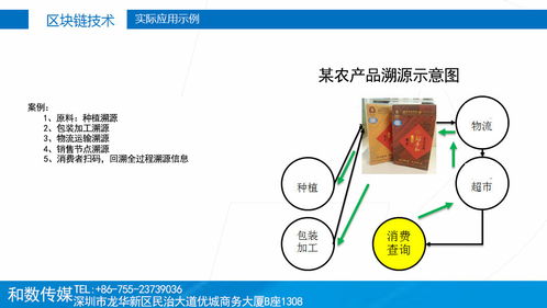 传统产业融入区块链 和数软件如何以技术赋能，稳健前行